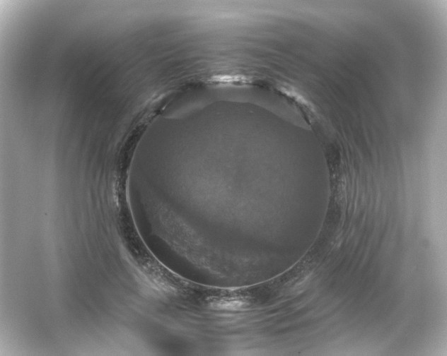 X0000066540643200603201427