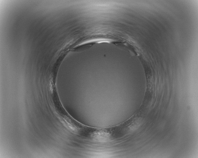 X0000066540644200603201427