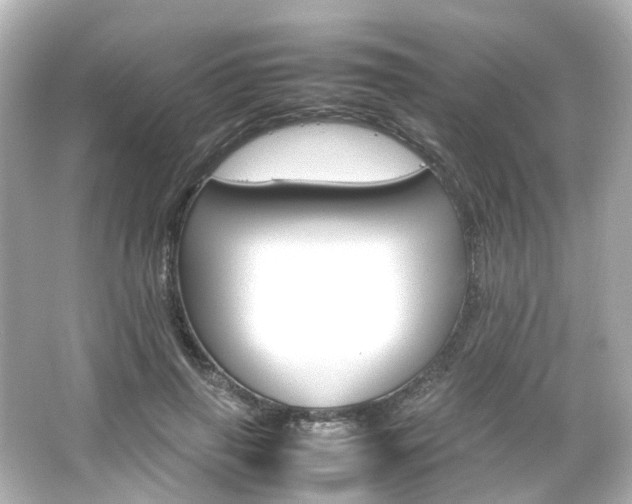 X0000066540645200603201427