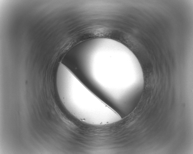 X0000066540646200603201427