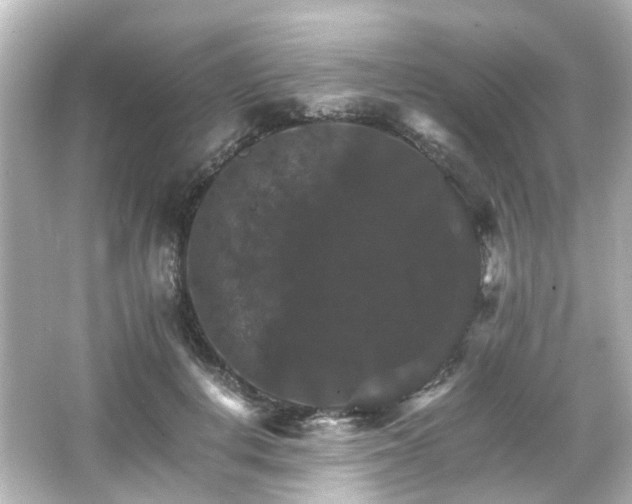 X0000066540648200603201427