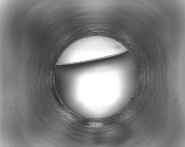 X0000066540649200603201427