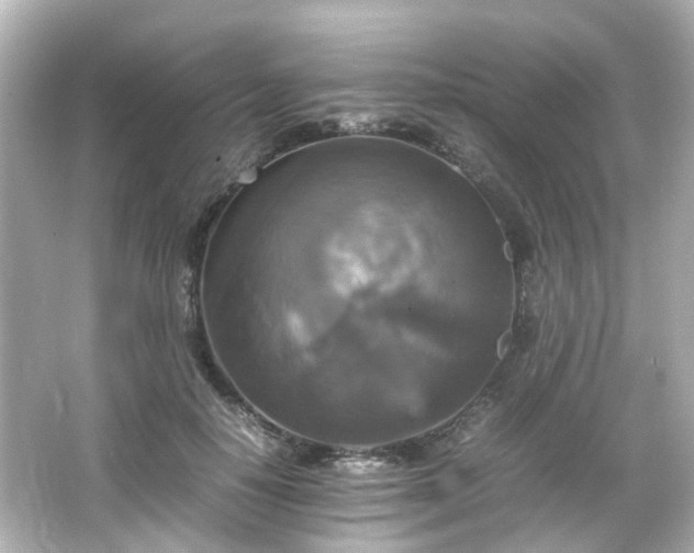 X0000066540650200603201427