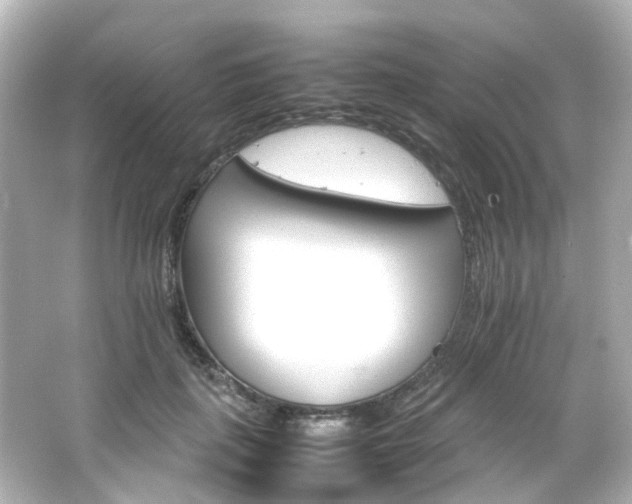 X0000066540651200603201427