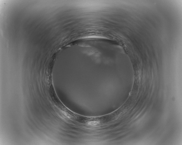 X0000066540653200603201427