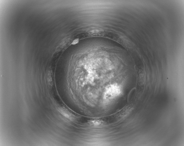 X0000066540654200603201427