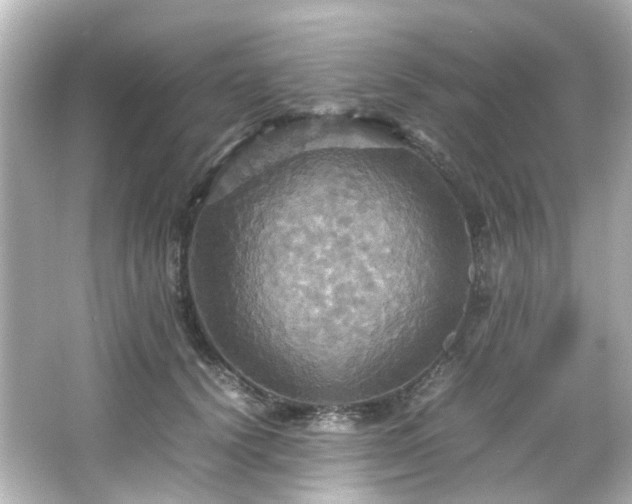 X0000066540656200603201427