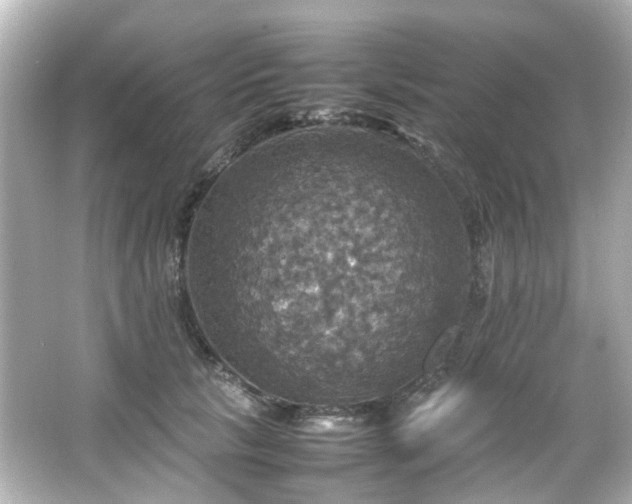 X0000066540657200603201427