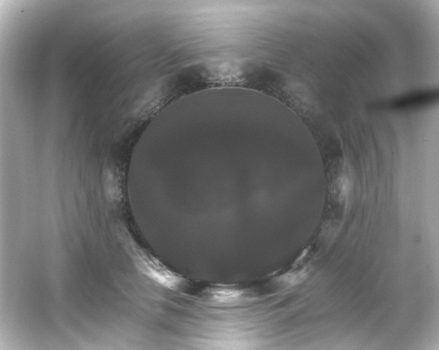 X0000066540658200603201427