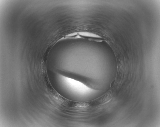 X0000066540659200603201427