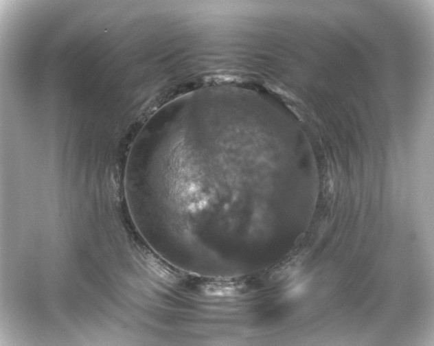 X0000066540661200603201427