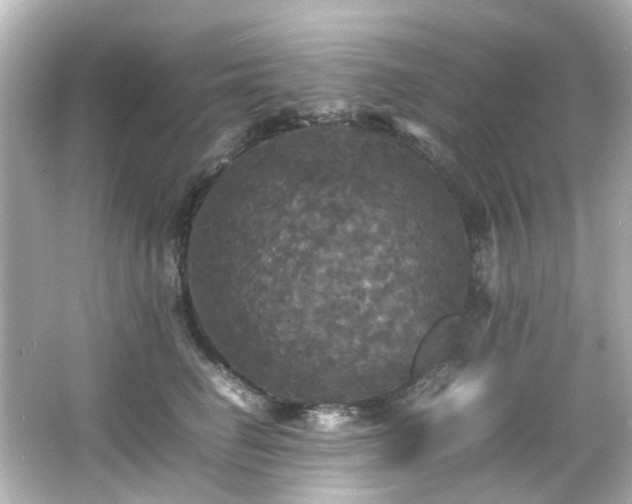 X0000066540662200603201427