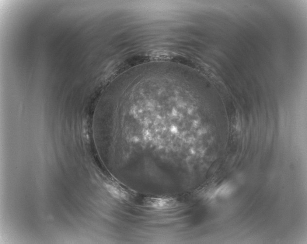 X0000066540663200603201427