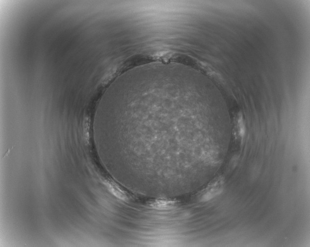 X0000066540664200603201427