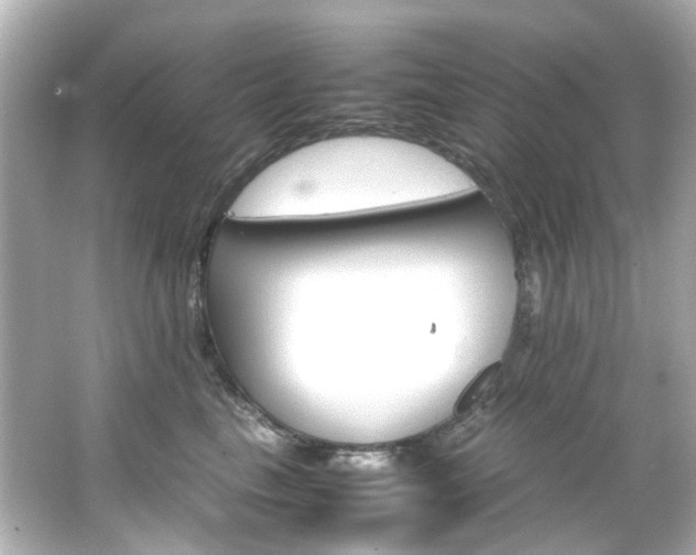 X0000066540665200603201427