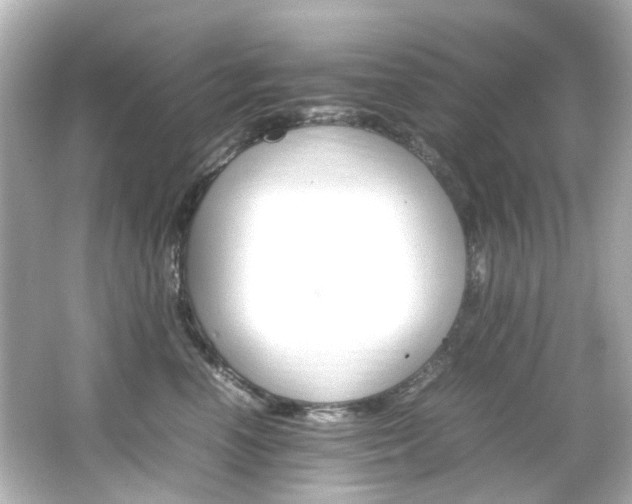 X0000066540666200603201427