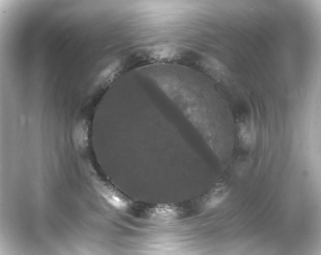 X0000066540668200603201427