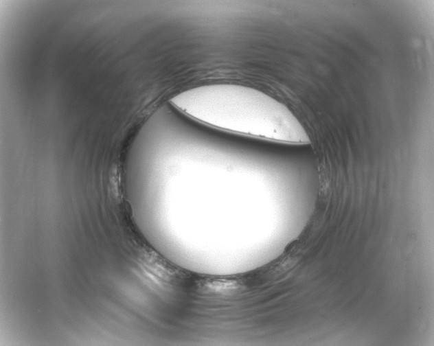 X0000066540669200603201427