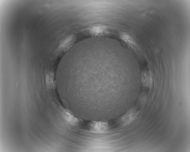 X0000066540670200603201427