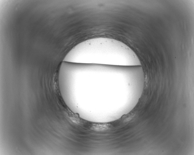 X0000066540671200603201427