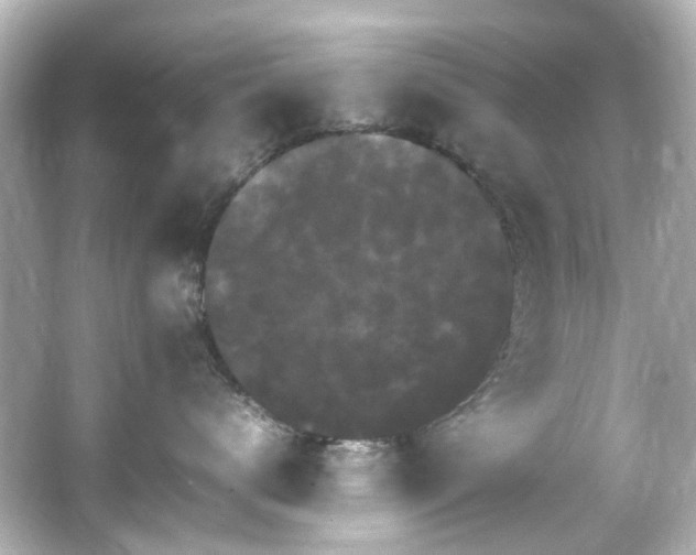 X0000066540672200603201427