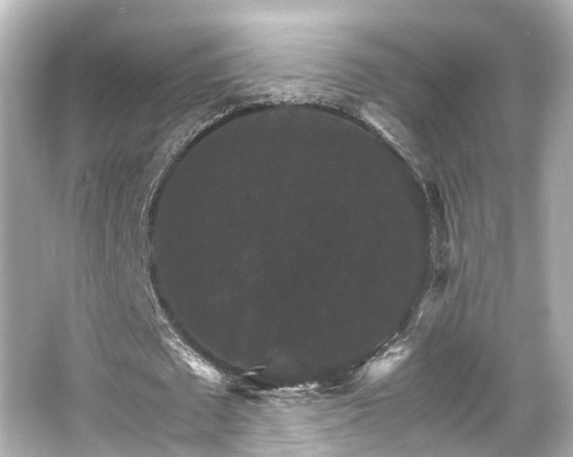 X0000066540673200603201426