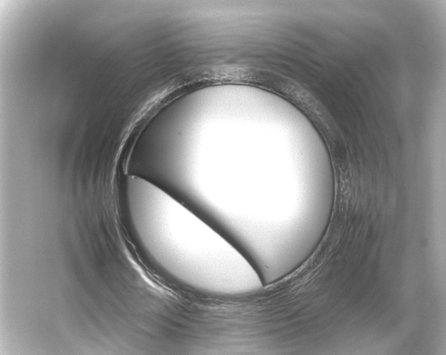 X0000066540674200603201426