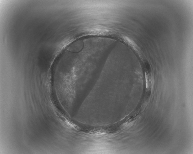 X0000066540675200603201426