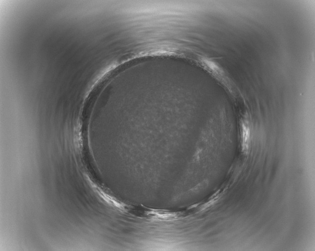 X0000066540676200603201426