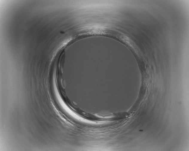 X0000066540677200603201426