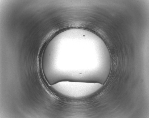 X0000066540678200603201426