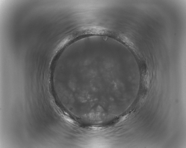 X0000066540679200603201426