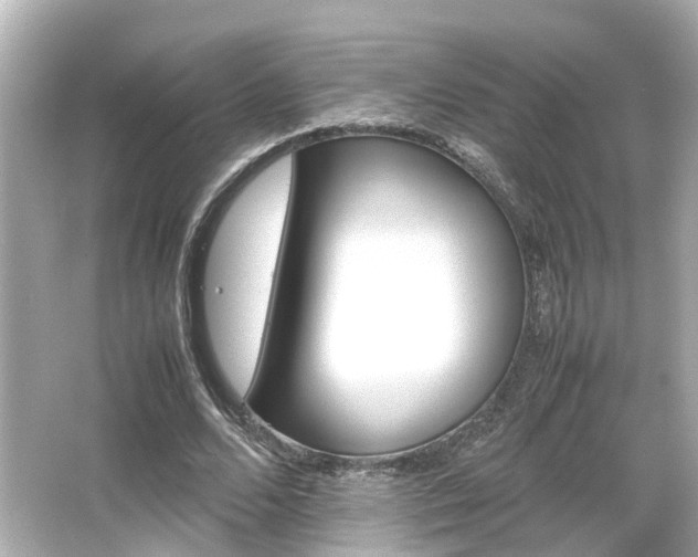 X0000066540680200603201426