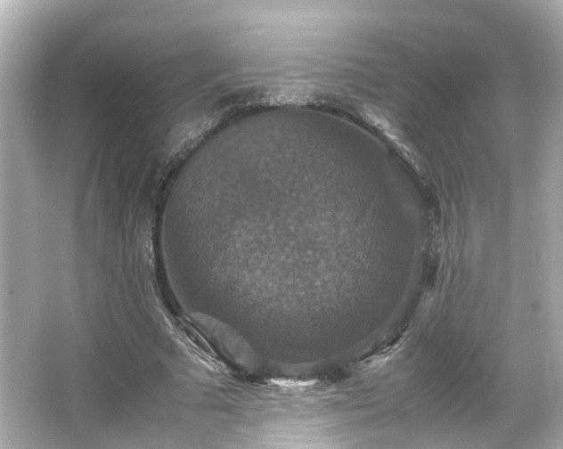 X0000066540681200603201426