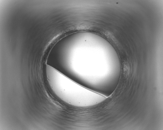 X0000066540684200603201426