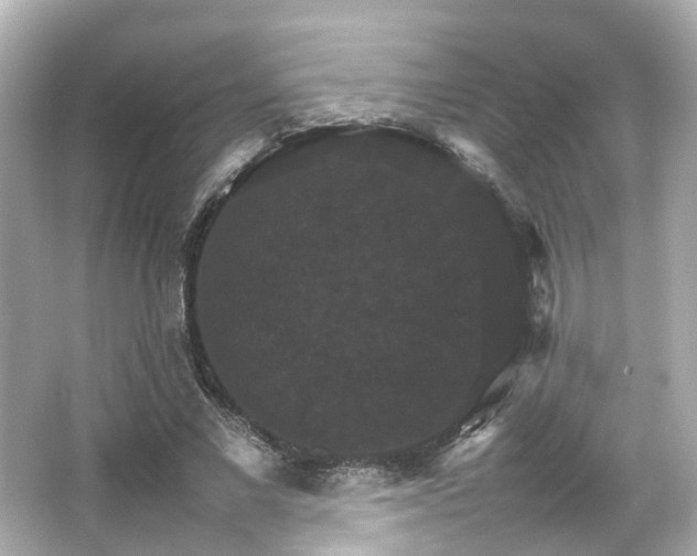 X0000066540685200603201426