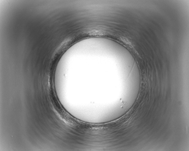 X0000066540686200603201426