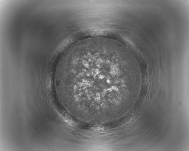 X0000066540687200603201426