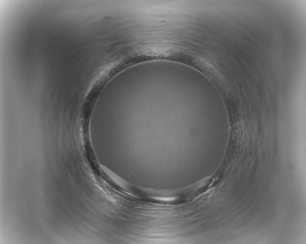 X0000066540688200603201426