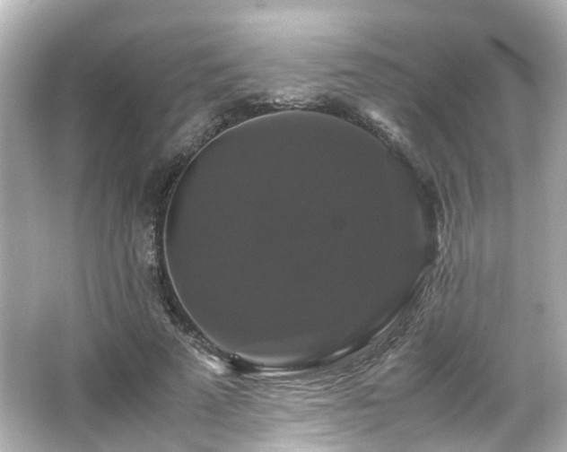 X0000066540689200603201426