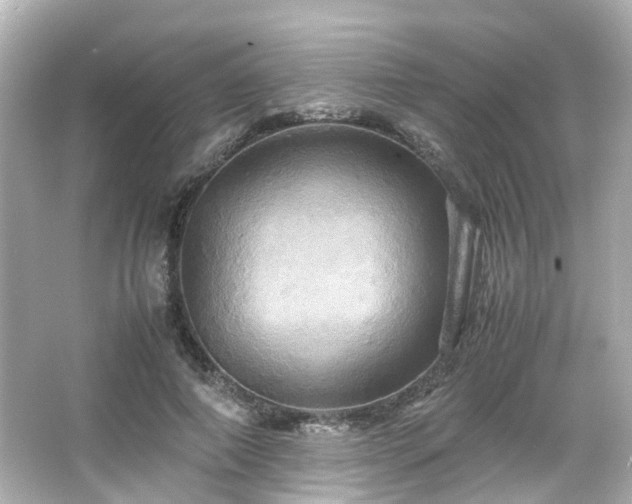 X0000066540690200603201426