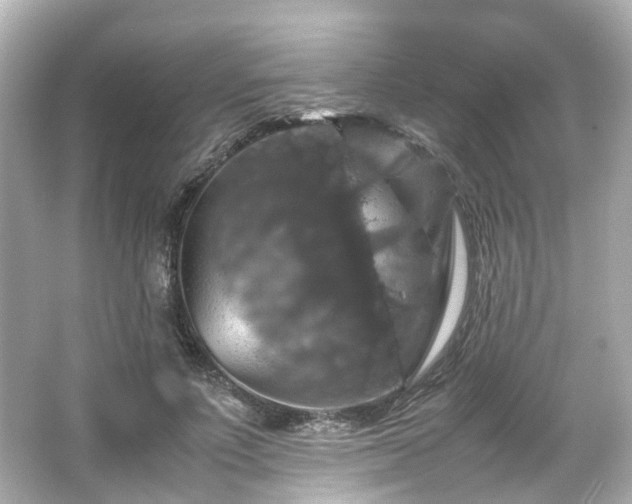 X0000066540691200603201426