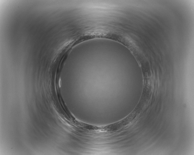 X0000066540692200603201426