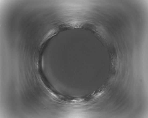 X0000066540693200603201426