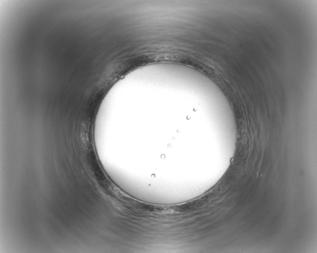 X0000066540695200603201426