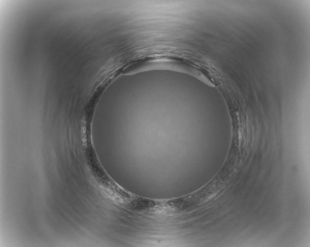 X0000066540696200603201426