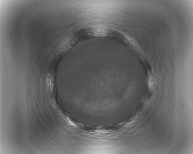 X0000066540697200603201426