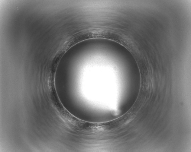 X0000066540698200603201426