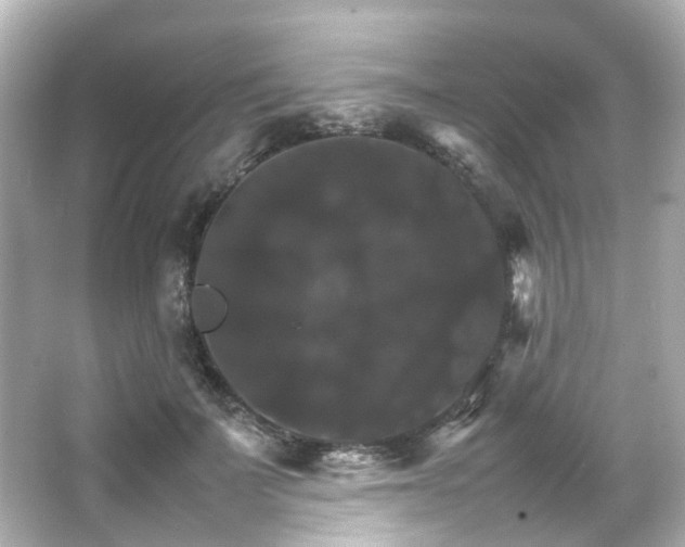 X0000066540699200603201426