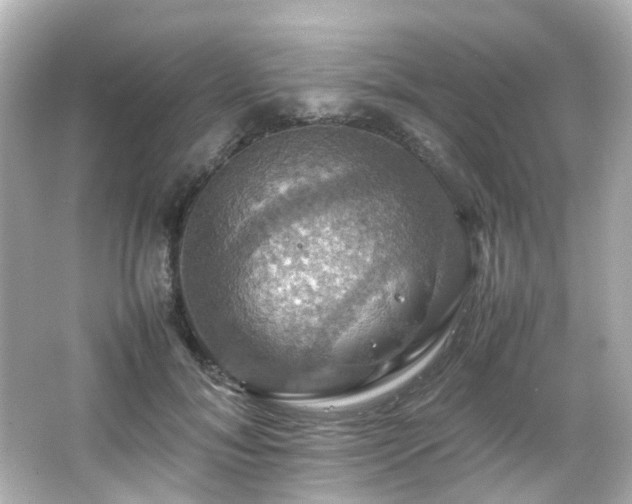 X0000066540700200603201426